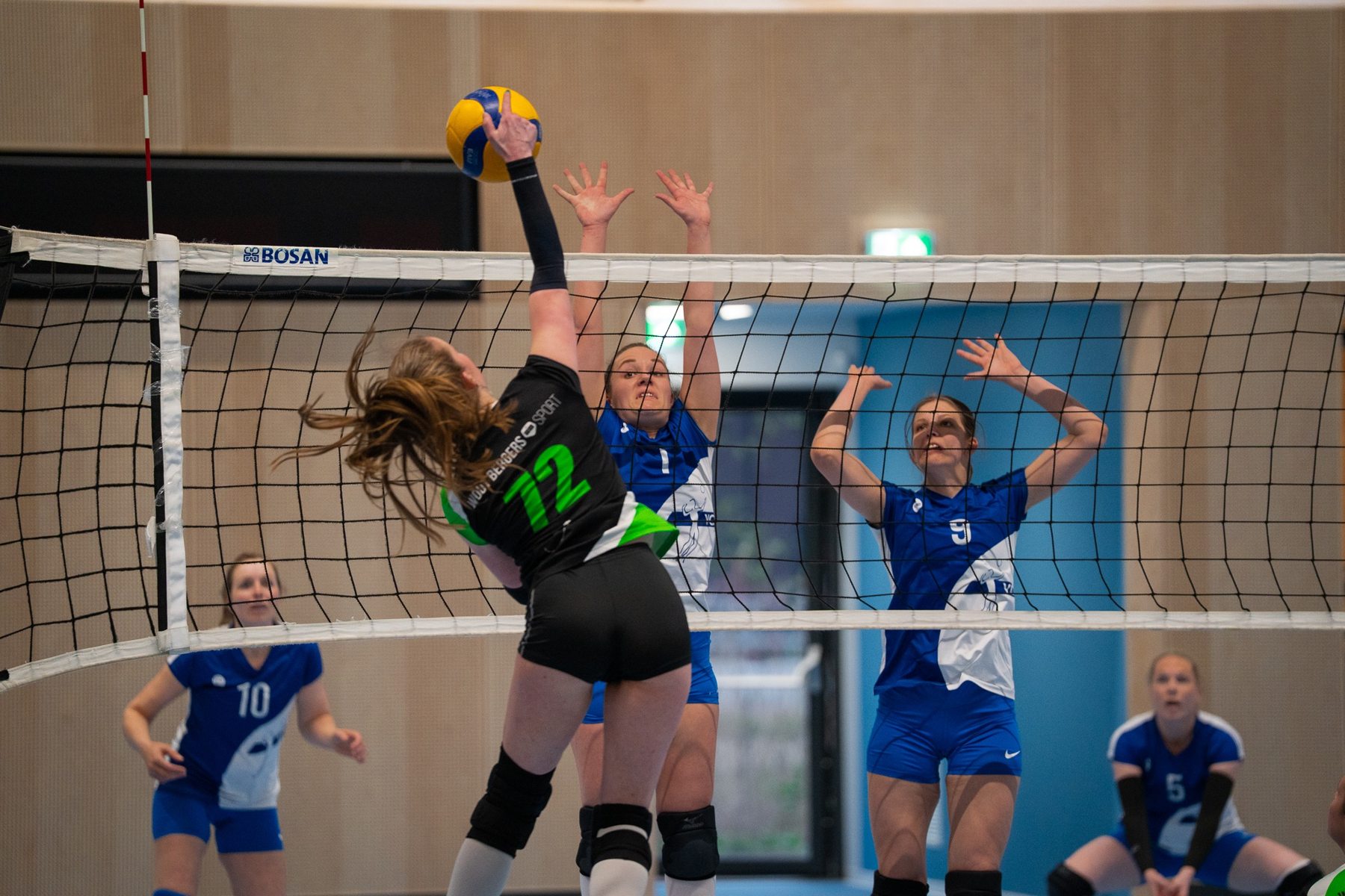 Volleyball — At the net photographed by FG Studio